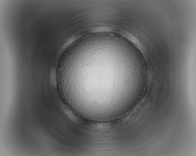 X0000115420345200911101636