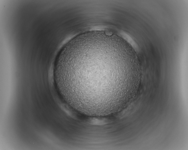 X0000115420346200911101636