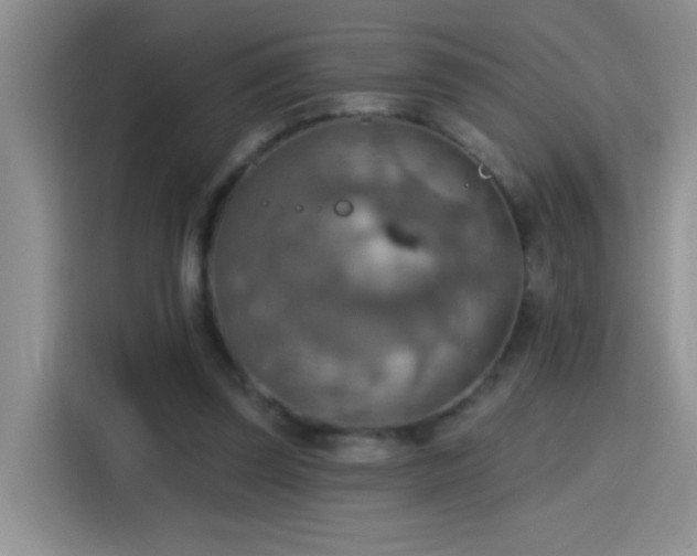 X0000115420347200911101636