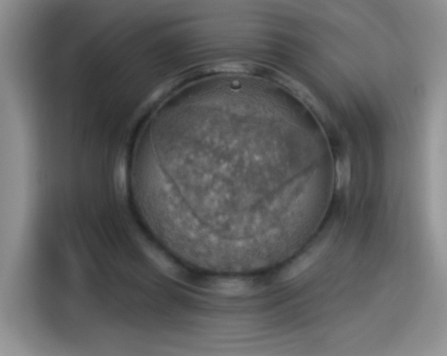 X0000115420349200911101636