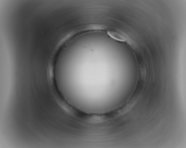 X0000115420350200911101636