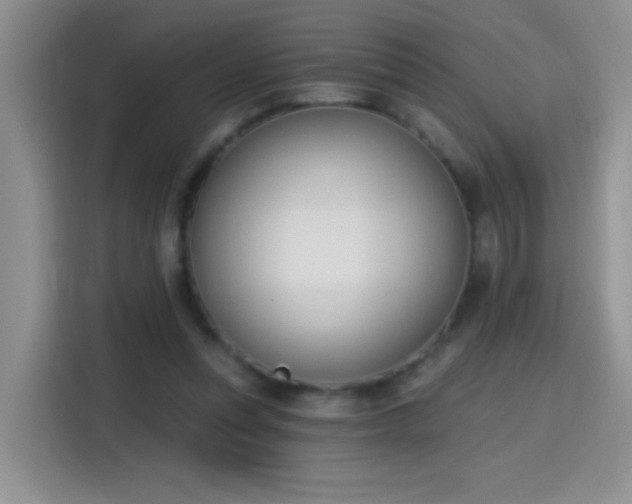 X0000115420351200911101636