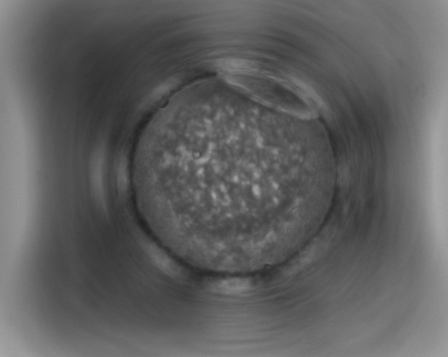 X0000115420353200911101636