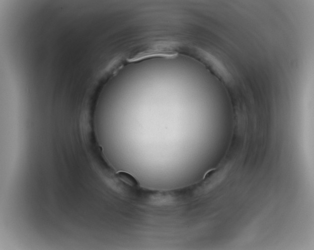 X0000115420354200911101636