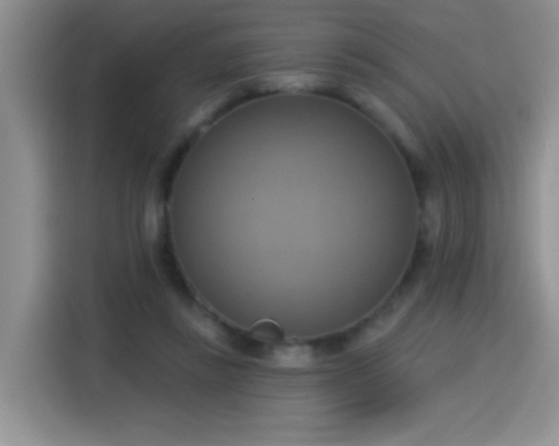 X0000115420355200911101636