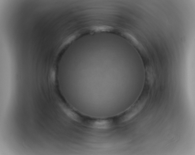 X0000115420357200911101636