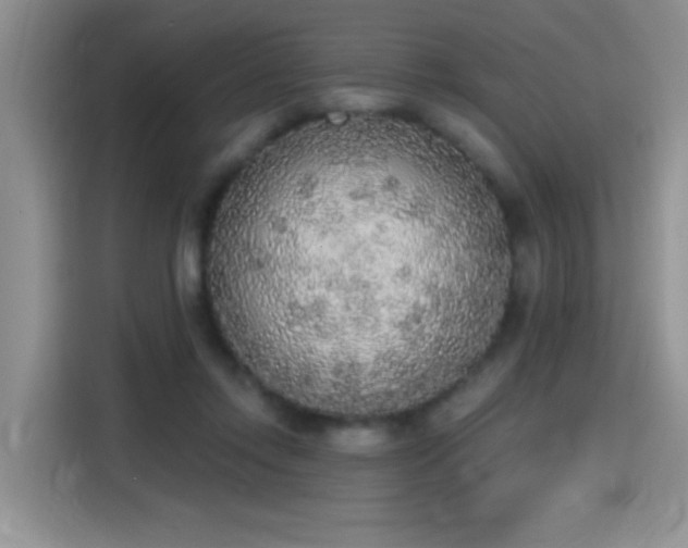 X0000115420358200911101636