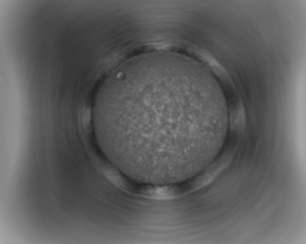 X0000115420365200911101636