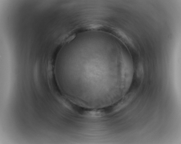 X0000115420366200911101636