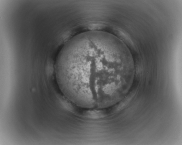 X0000115420367200911101636