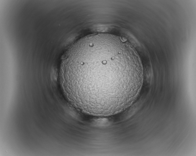 X0000115420374200911101636