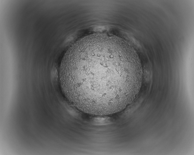 X0000115420375200911101636