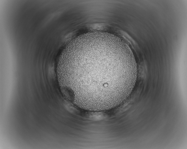 X0000115420377200911101636