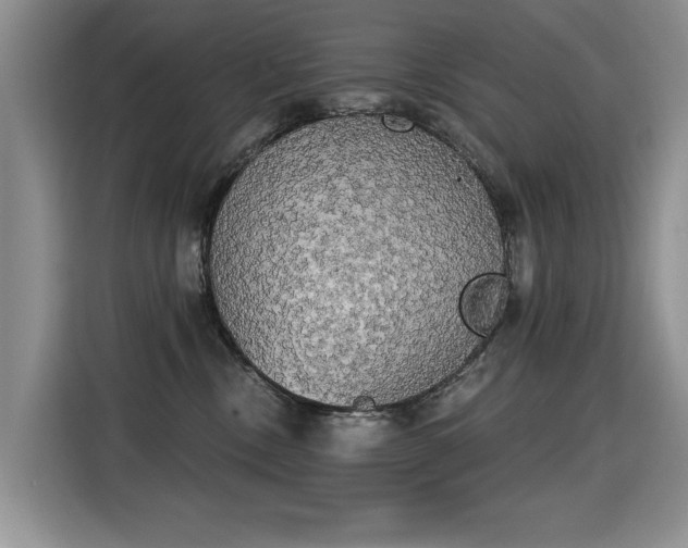 X0000115420378200911101636