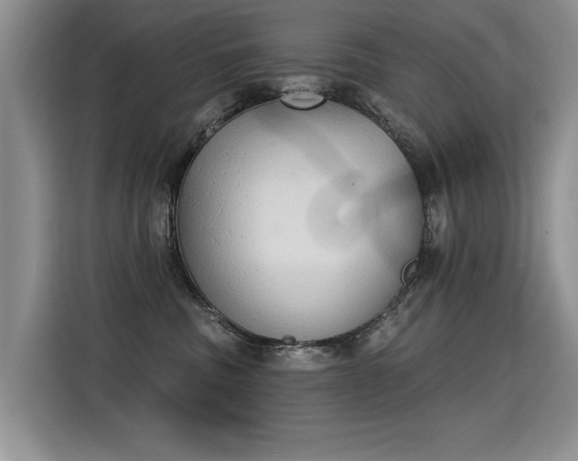 X0000115420379200911101636