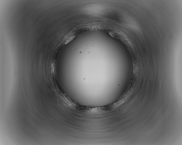 X0000115420382200911101636