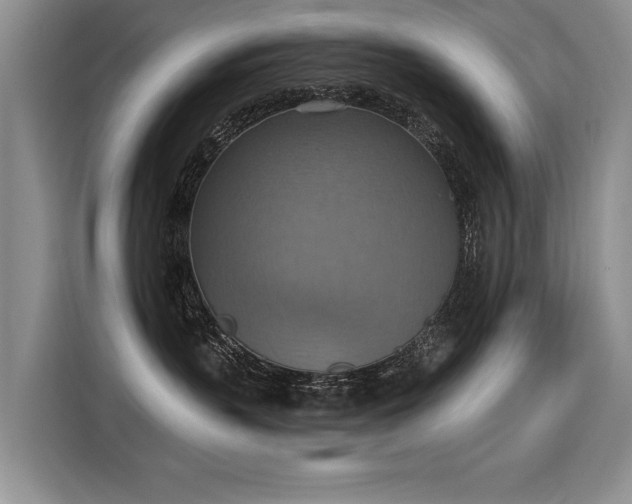 X0000115420383200911101636