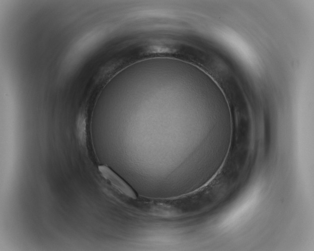 X0000115420387200911101636
