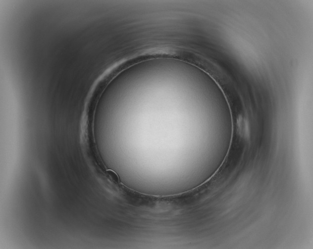 X0000115420388200911101636