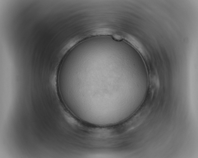 X0000115420389200911101636