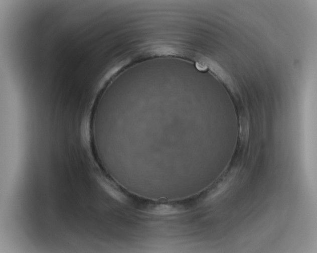 X0000115420390200911101636