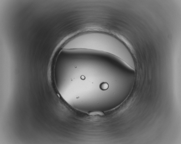 X0000115420391200911101636