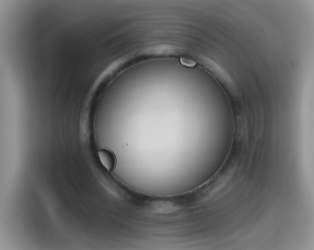 X0000115420392200911101636