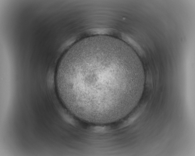 X0000115420394200911101636