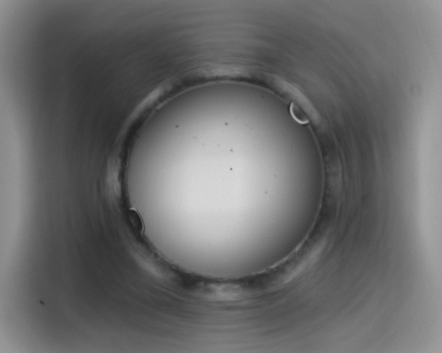 X0000115420395200911101636