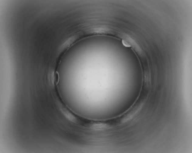 X0000115420397200911101636