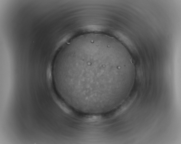 X0000115420398200911101636