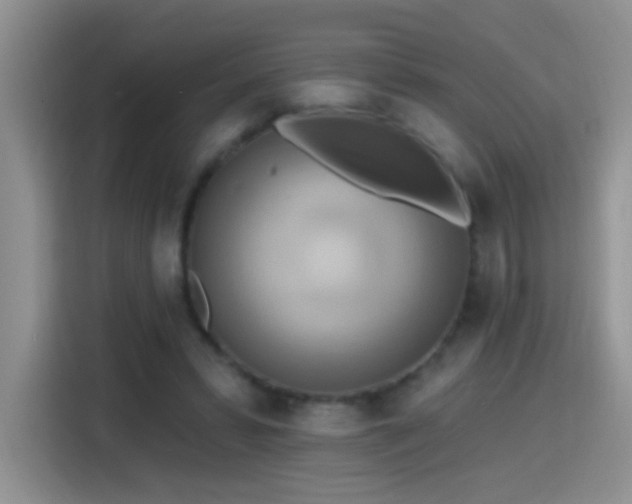 X0000115420399200911101636