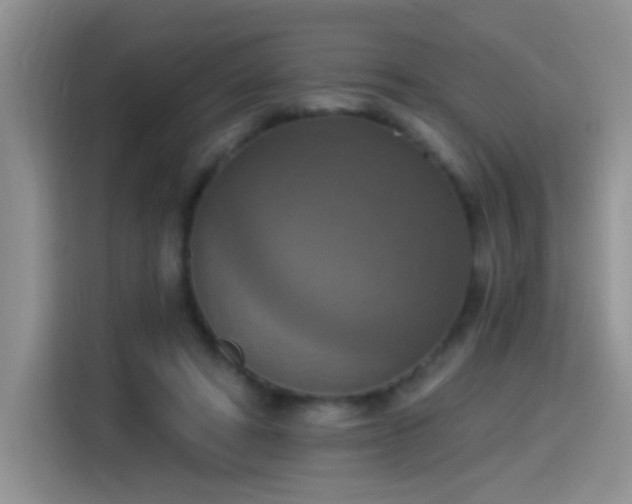 X0000115420402200911101635