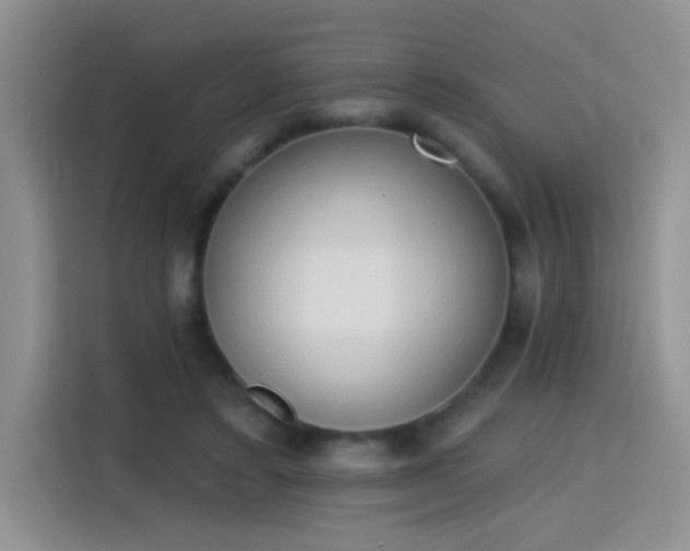 X0000115420403200911101635