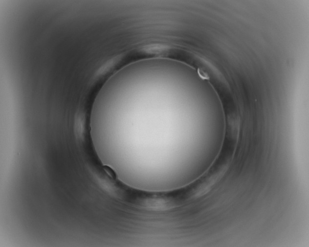 X0000115420404200911101635
