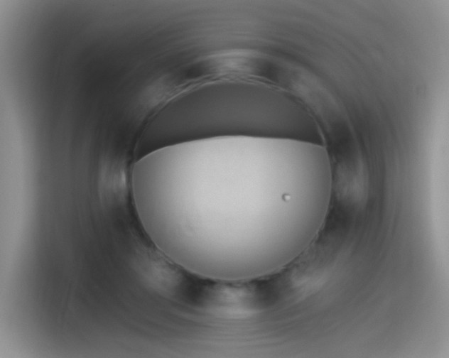 X0000115420405200911101635