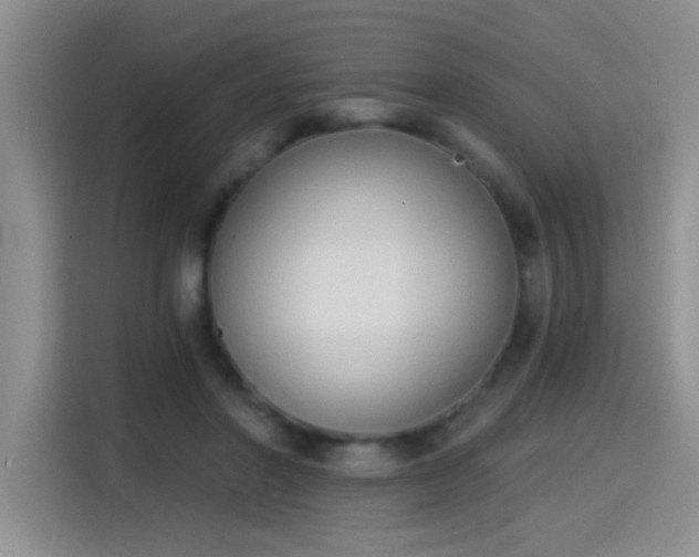 X0000115420406200911101635