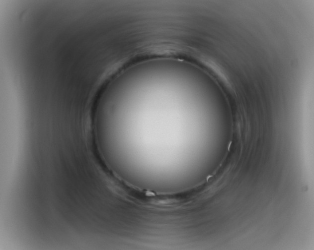 X0000115420407200911101635