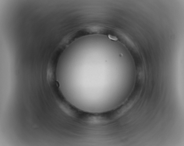 X0000115420408200911101635