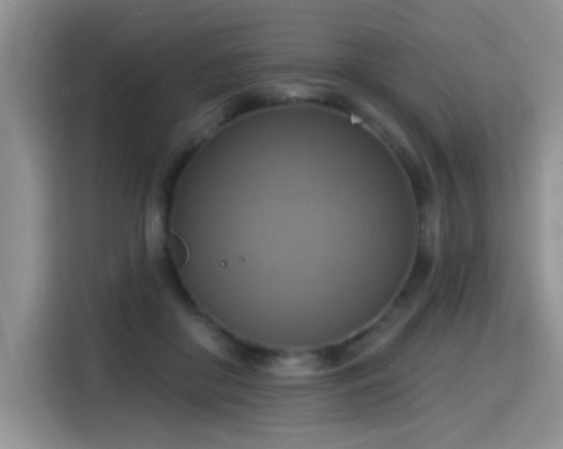 X0000115420410200911101635
