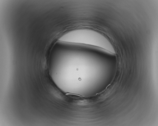 X0000115420411200911101635