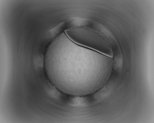 X0000115420413200911101635