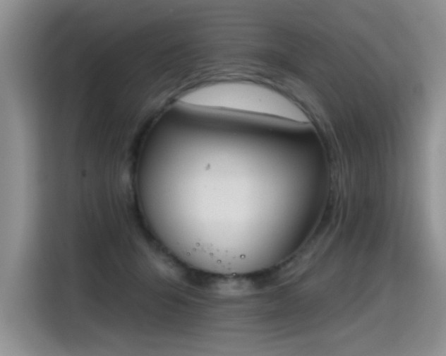 X0000115420415200911101635