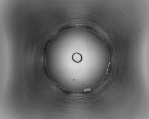 X0000115420417200911101635