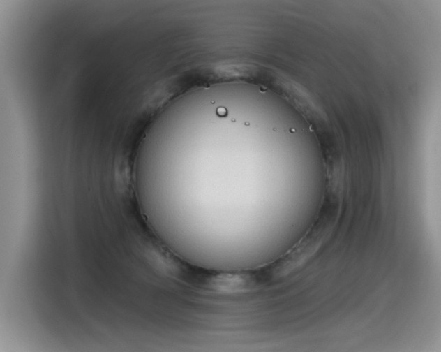 X0000115420418200911101635