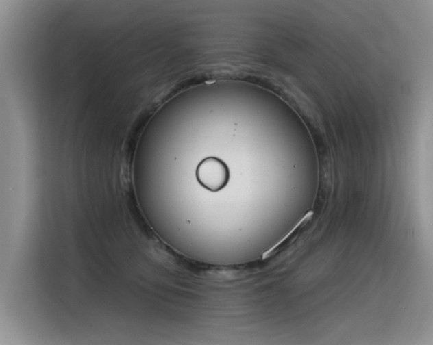 X0000115420419200911101635