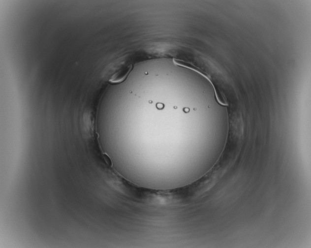 X0000115420420200911101635