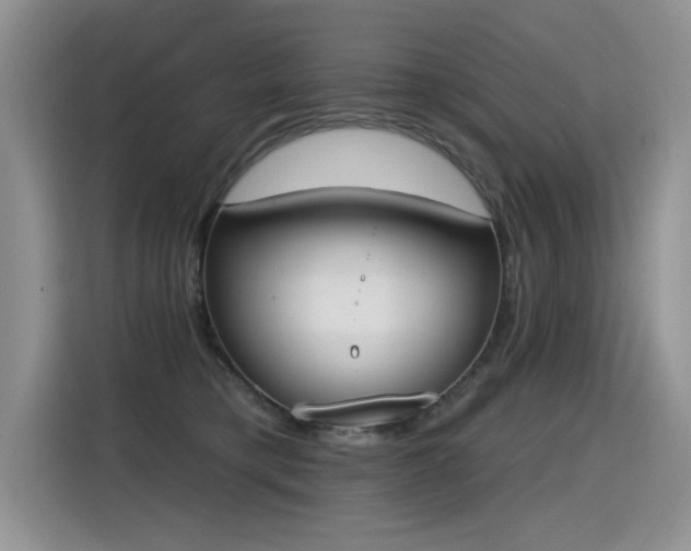 X0000115420421200911101635