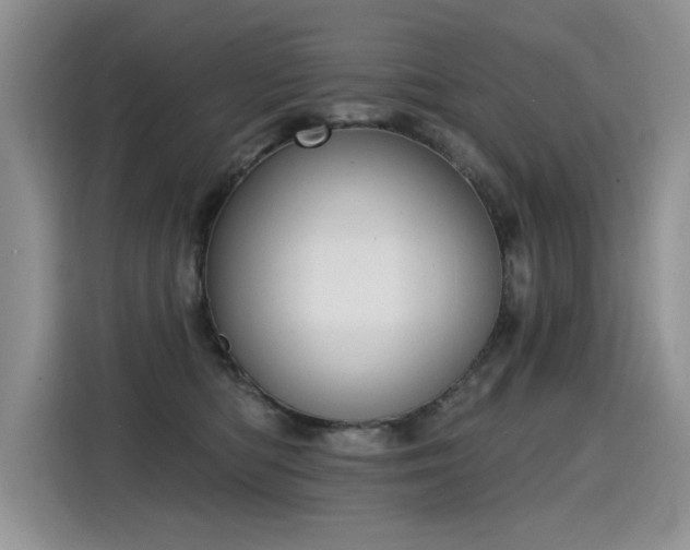 X0000115420422200911101635