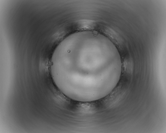X0000115420423200911101635